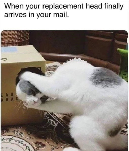 532016972_1305399924530925_5026676787797965194_n.png