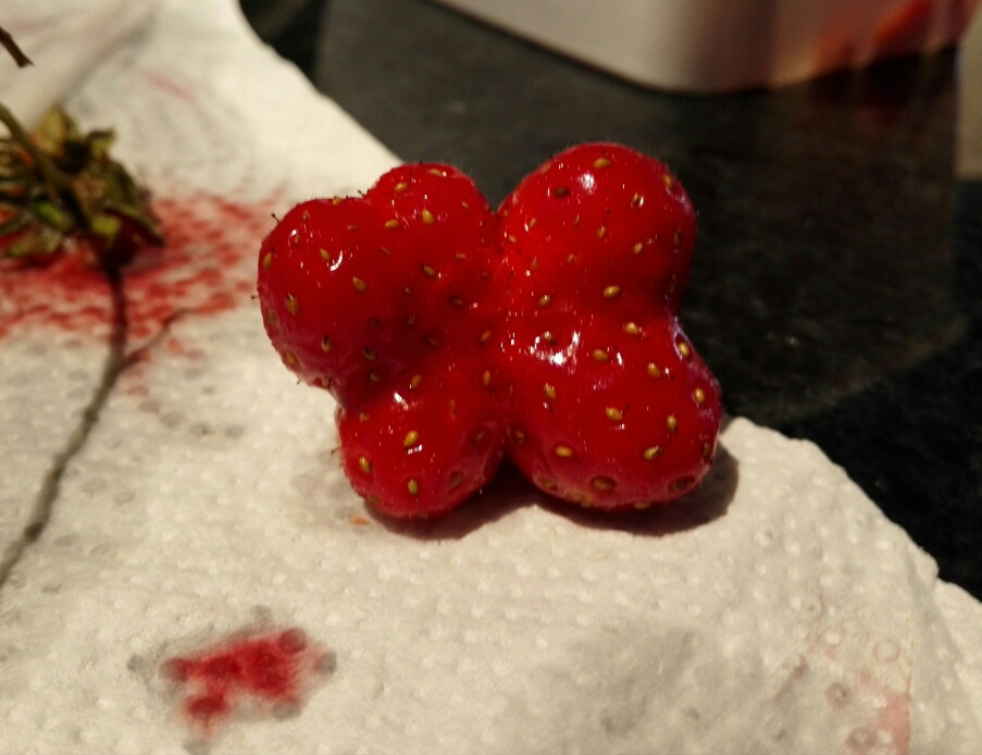576010E1-A3F4-4F0D-A5CB-EBD151C737DB.jpeg
