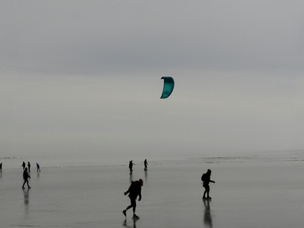 5A82AE96-F171-427C-B330-7AD884564F5B.jpeg