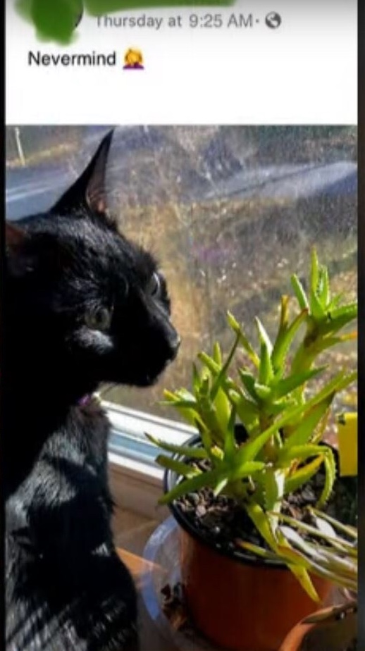 6056D602-69C5-4500-98E5-3BA3B07DC33D.jpeg