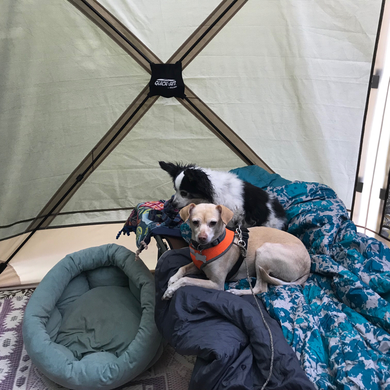 60D3F0E2-D50F-4018-9A83-1F01BA966BA7.jpeg