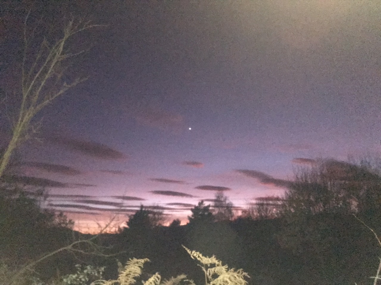 68EA4910-E008-4C6A-9144-B2677C159352.jpeg
