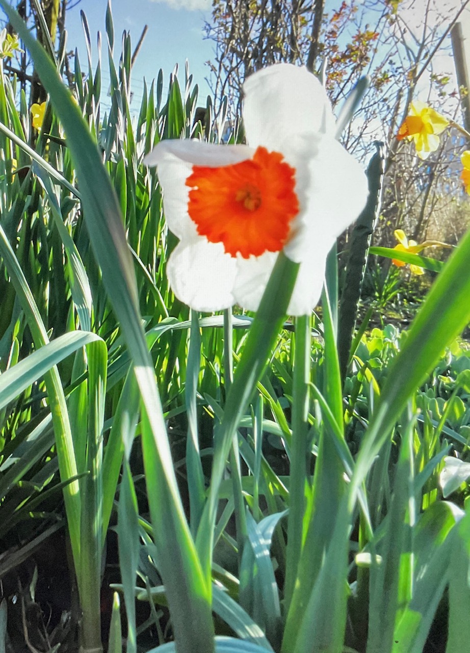 6CA88BA3-555A-4AD0-B8E7-4C1B324FEB17.jpeg