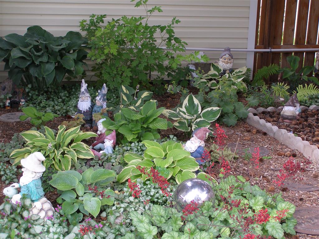 7-23-17 flowers 016 (Medium).JPG