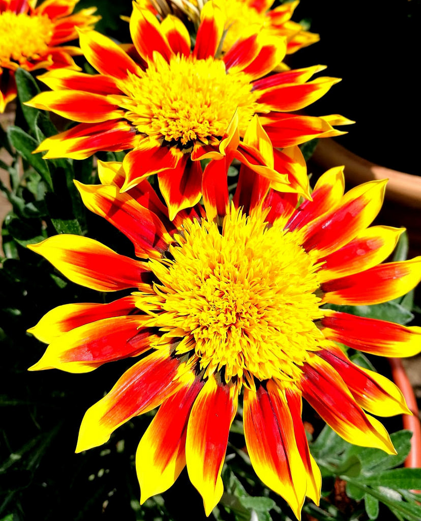 7723C2B6-AB57-4ABC-A101-C94F22706FB1.jpeg