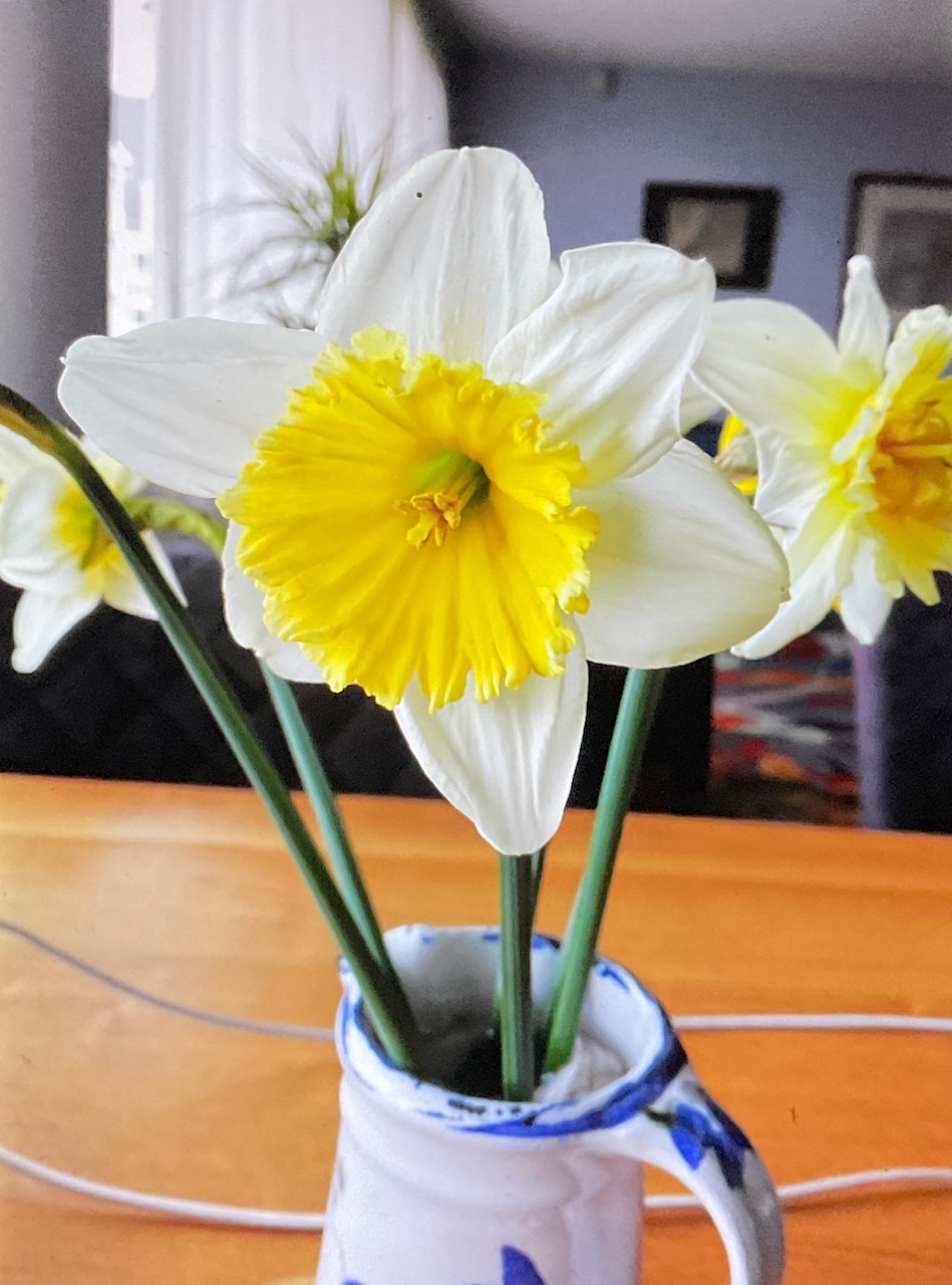 7CA8061C-1876-4A36-92AA-507D558DA8FE.jpeg