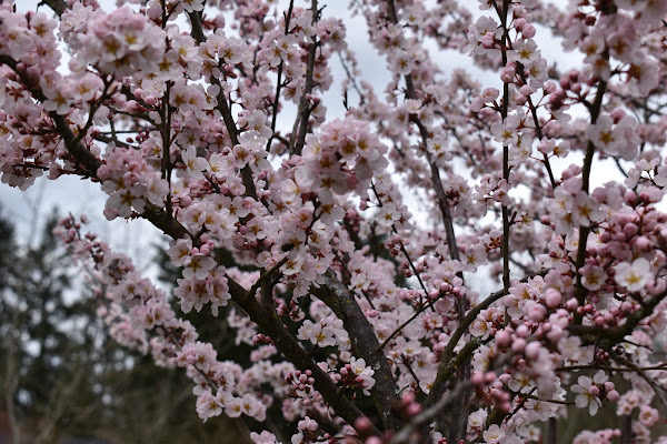 7DBB8930-9B6A-4B70-AA88-2E3A44A0F13E.jpeg