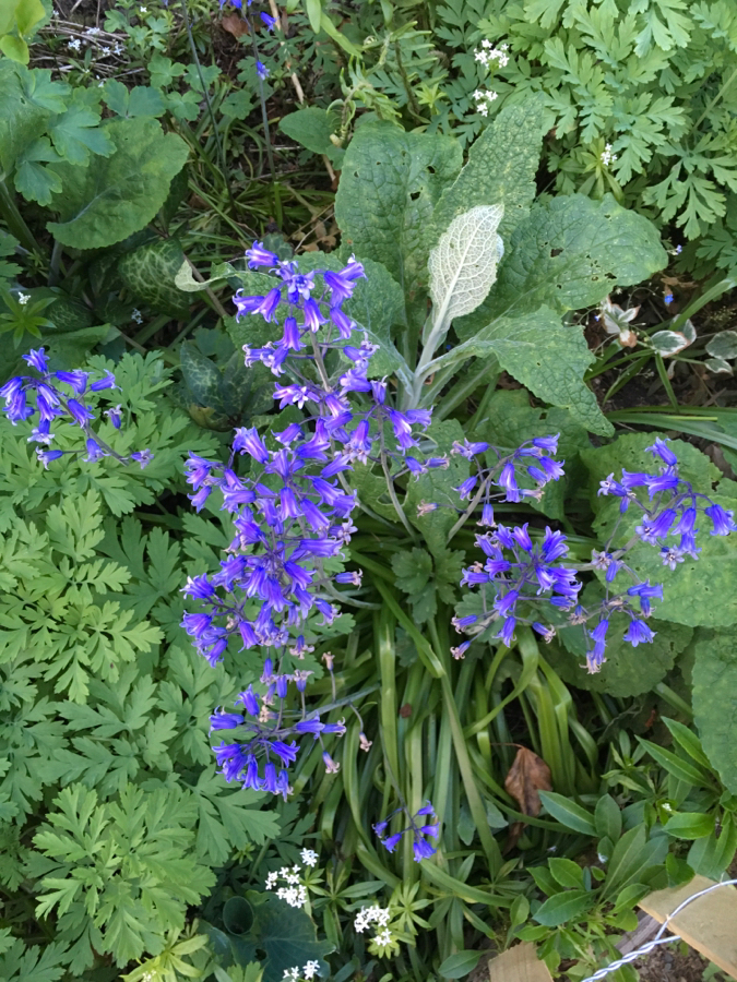 7F257A76-4293-43C9-AEA4-DFA736B35353.jpeg