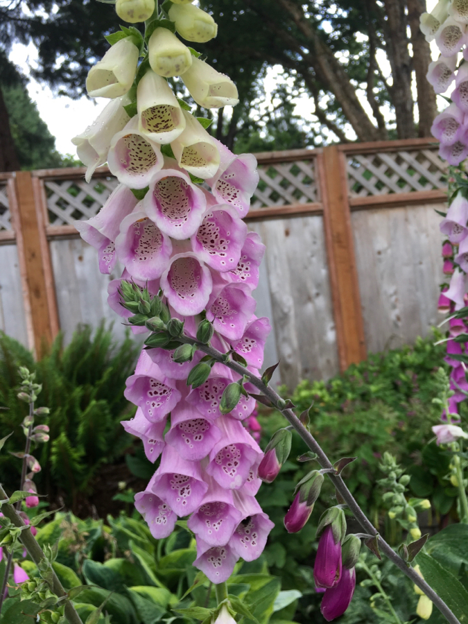 9320B7C8-AE5C-4B33-8EA6-F7411D640D49.jpeg
