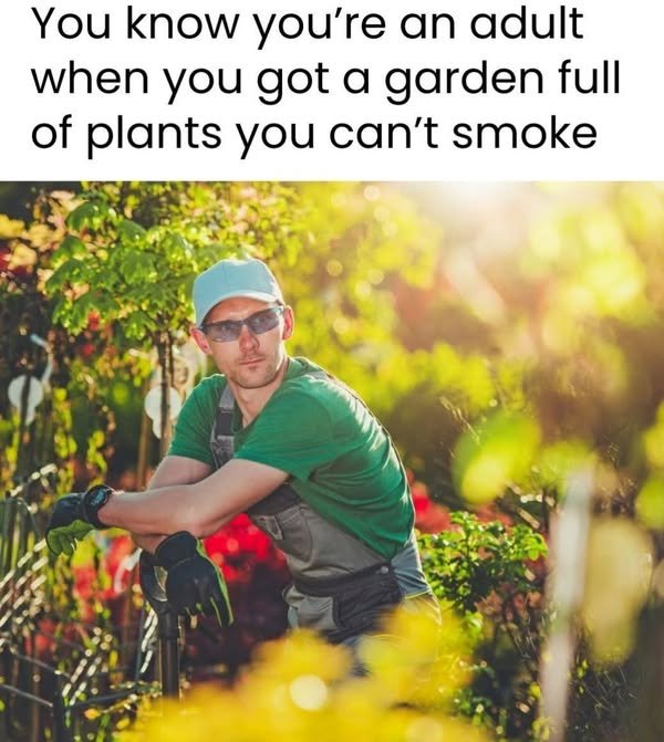 95406545.jpg