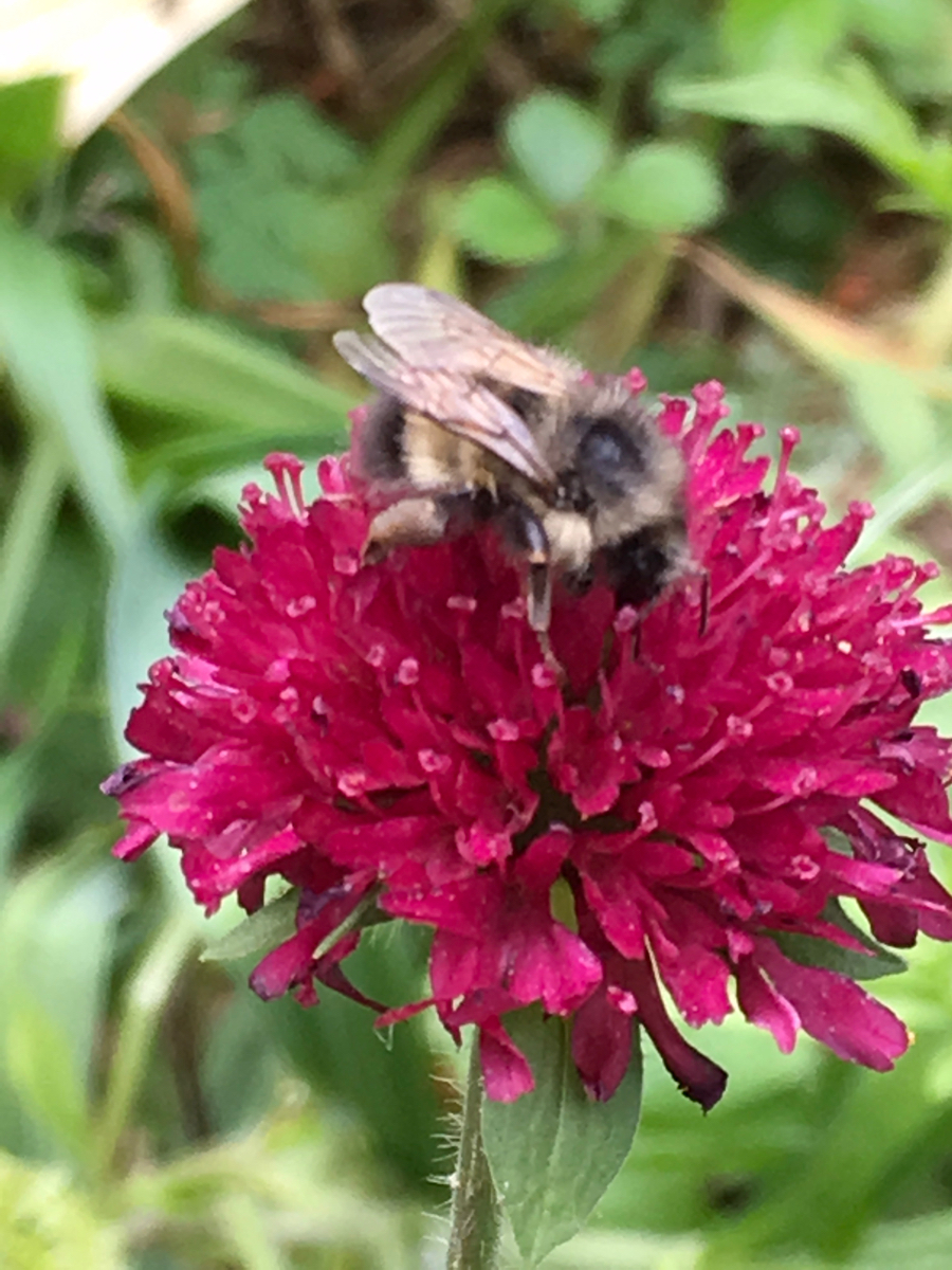 9E444D0E-40BC-412B-B452-6704AB79BEE7.jpeg
