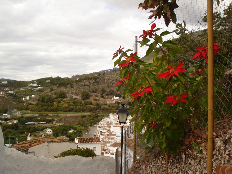 9th December 2008 018.jpg