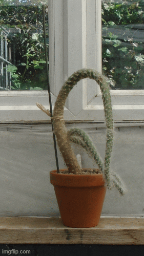 9us51b.gif
