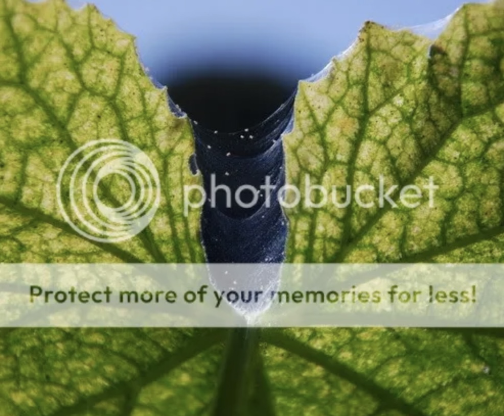 A410D2C0-A408-4AA8-9180-F231A926B244.jpeg