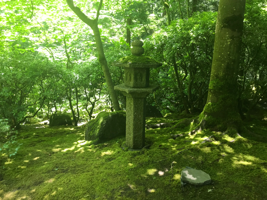 A95AB270-54AB-4C72-AA61-E232479B7332.jpeg