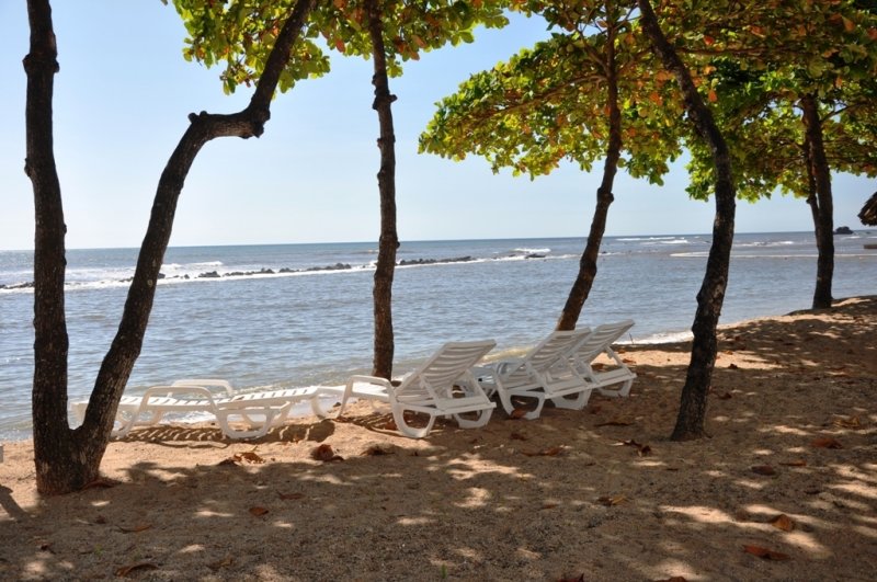 AADSC_0081.JPG