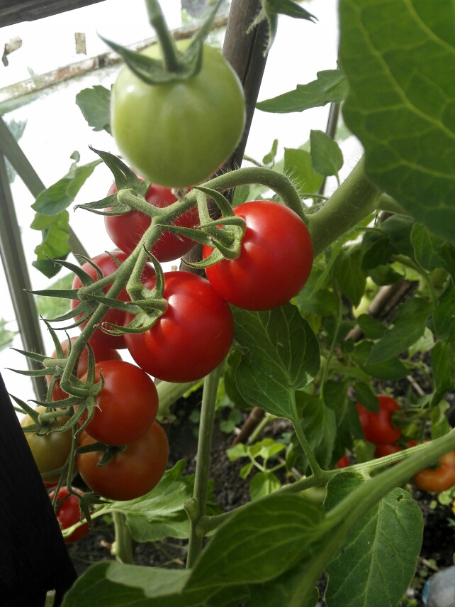 ABF92497-2BF7-432C-9FEB-7C3EEFAF1423.jpeg