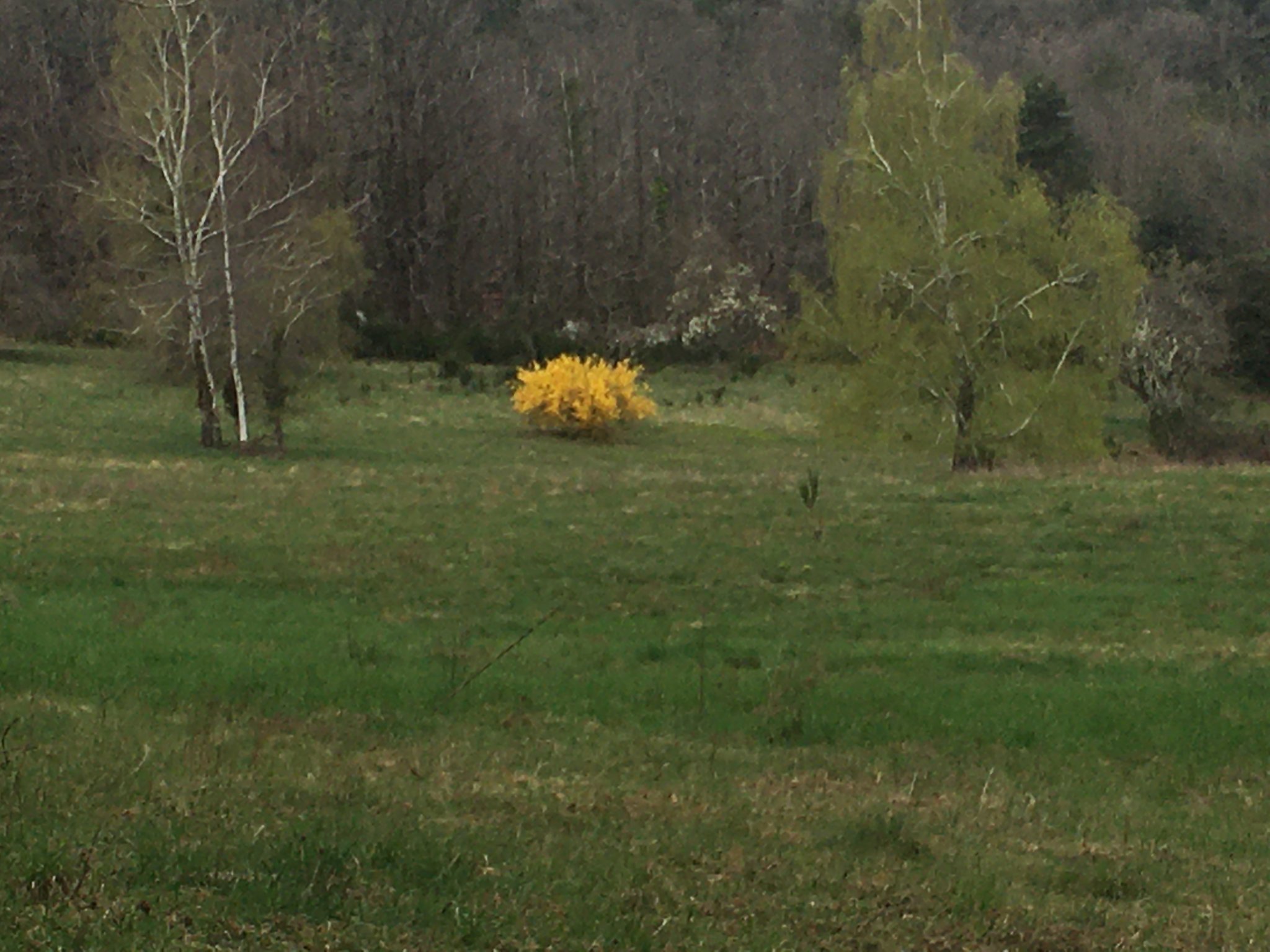 AEA9E3F8-5F26-4336-926D-B9583ADC63C5.jpeg