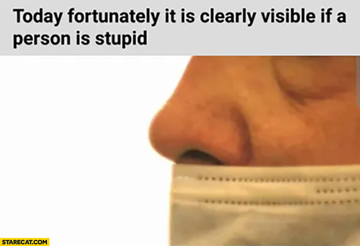 Anidiot.jpg
