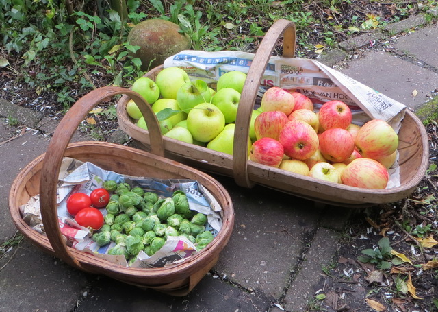 appelmoes5.jpg