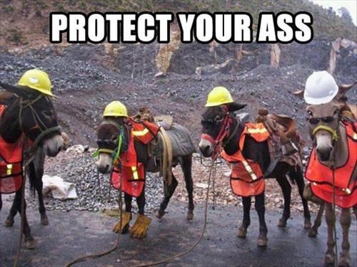 ass.jpg