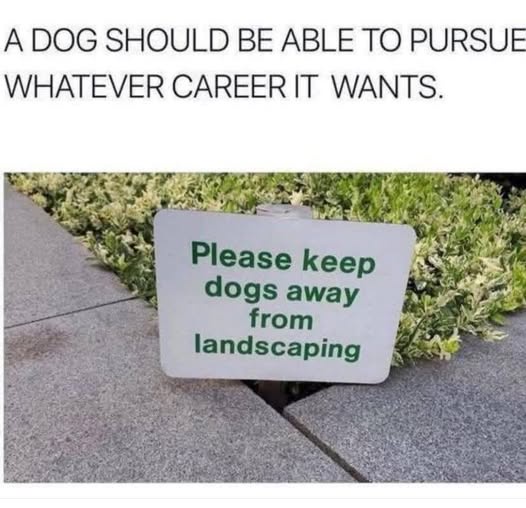B0QwBKq.jpeg