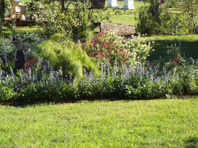 backyard flower bed.jpg