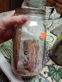 bacon 20142.jpg