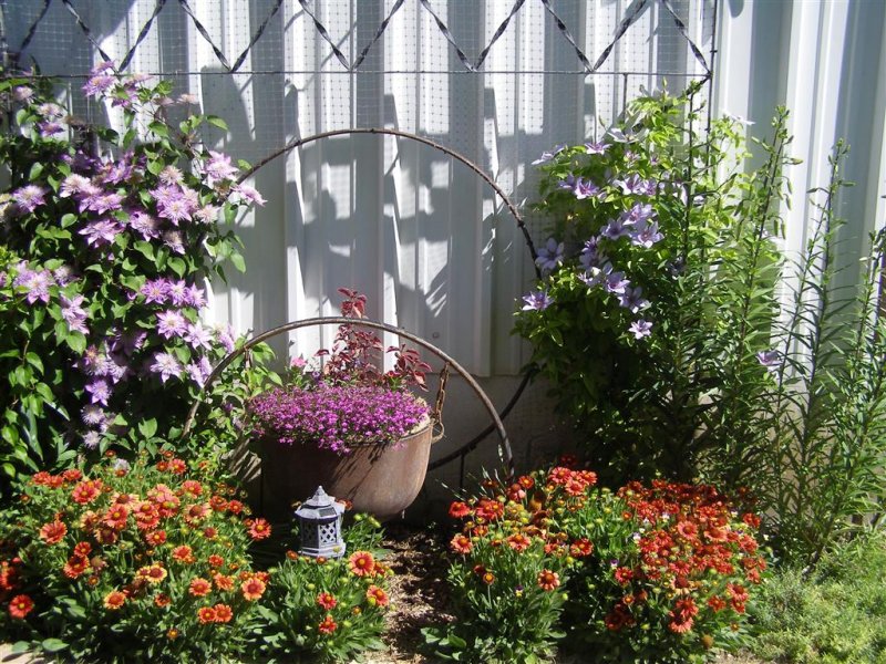 bad color combo bed (Medium).JPG