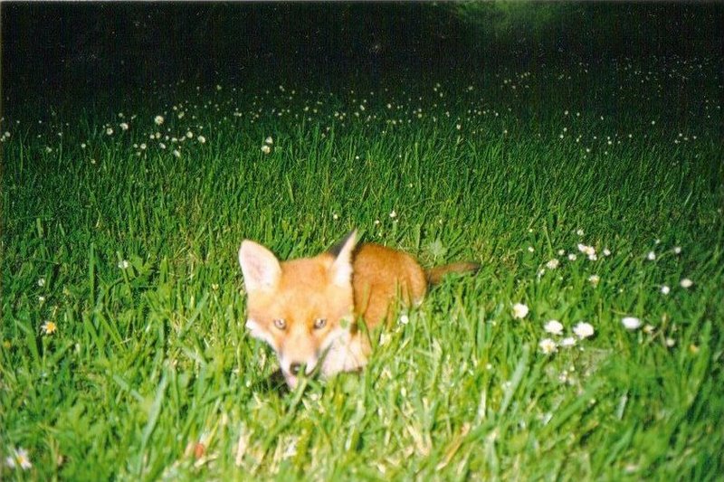 ballinahown_002.jpg