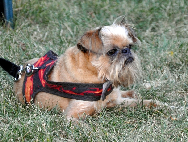 Baxter2.JPG