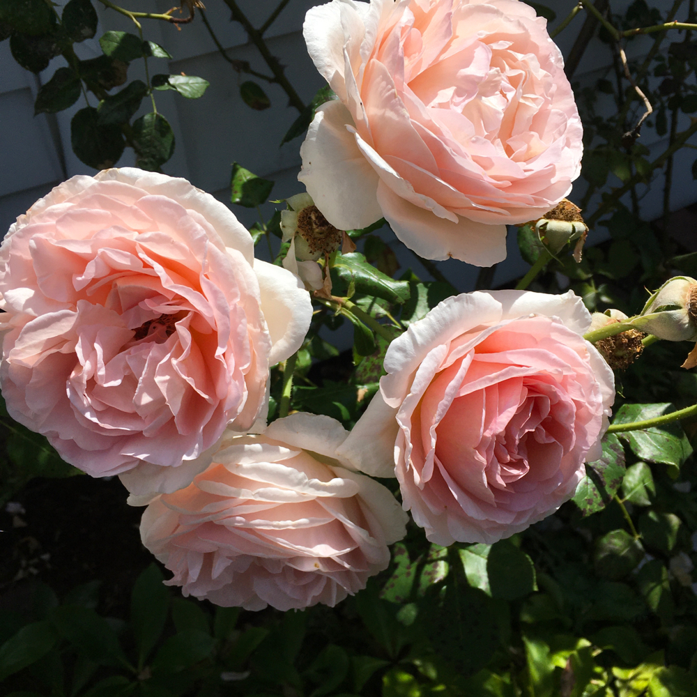 BC6D48C1-2AE9-4977-8CCB-269821455882.jpeg