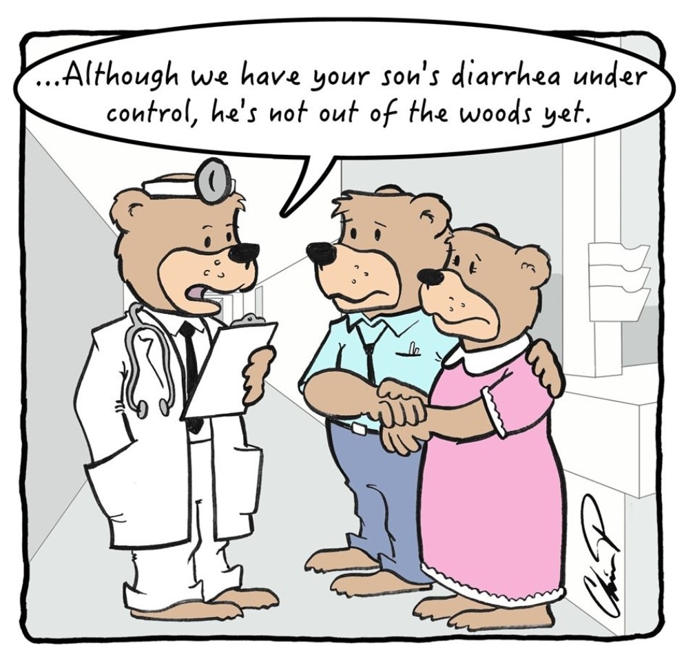 bear.jpg