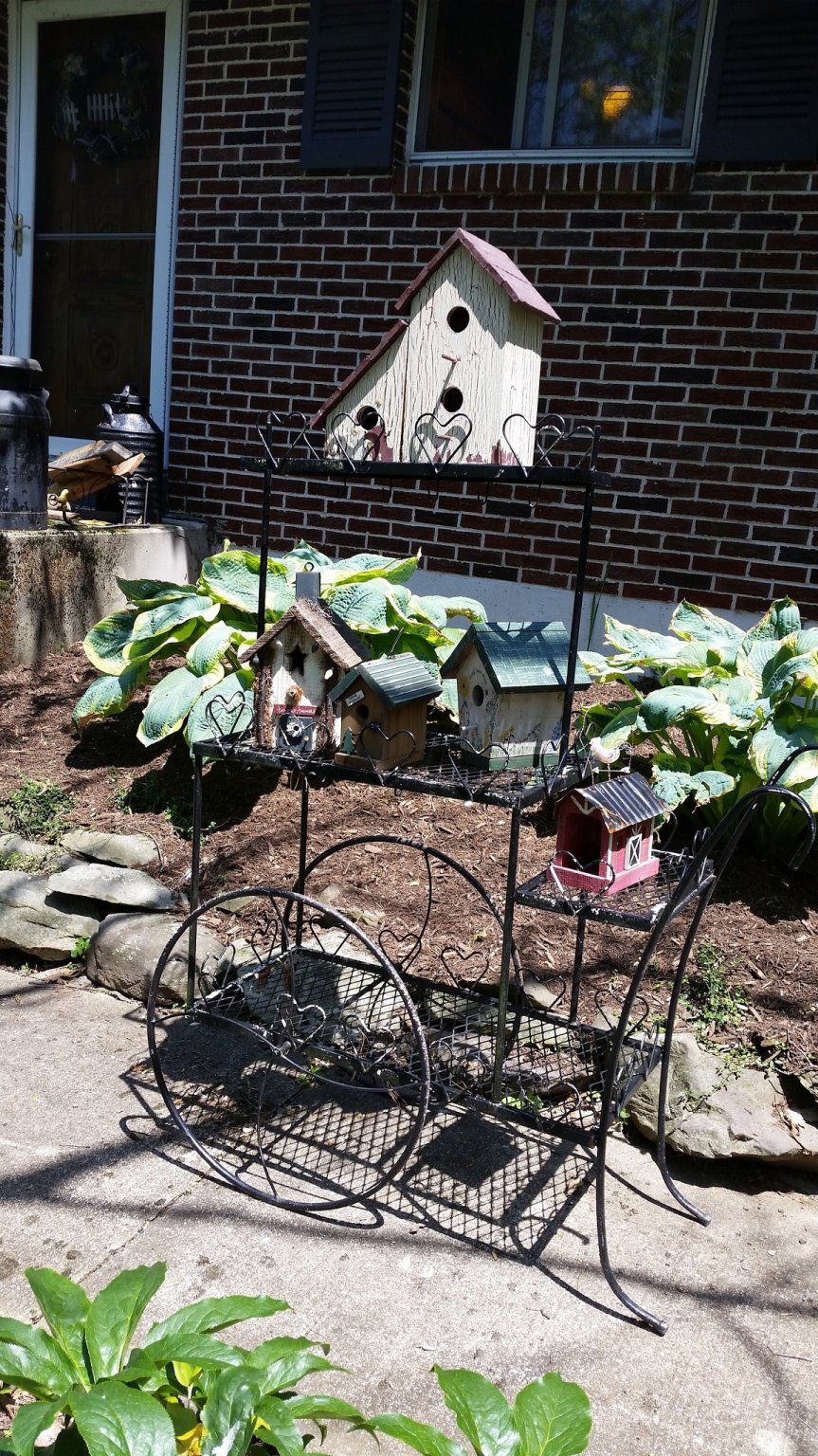 bird cart.jpg