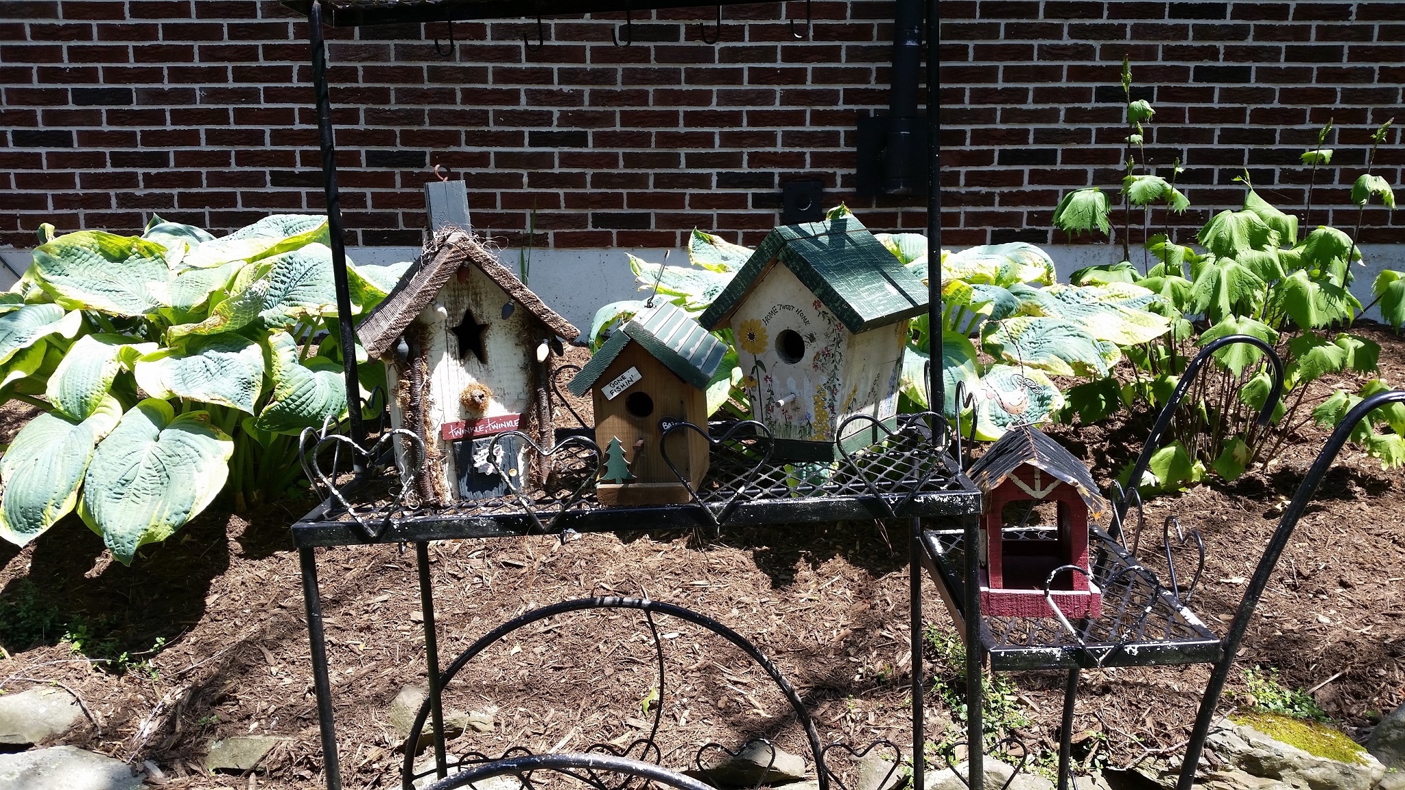 bird cart2.jpg