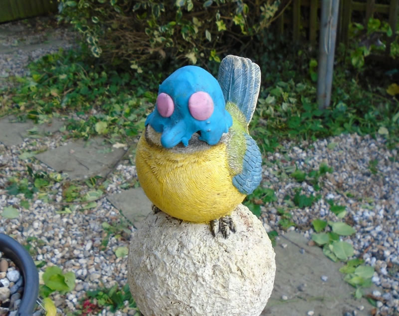 bird.jpg