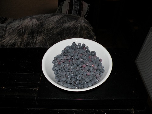Blueberries.JPG