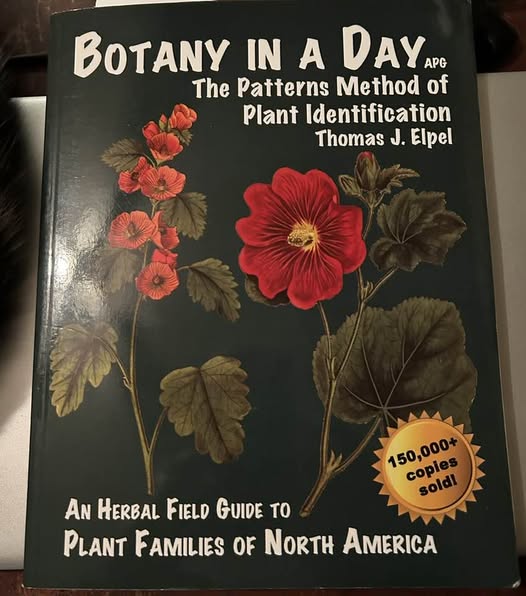 Botany in a Day.jpg