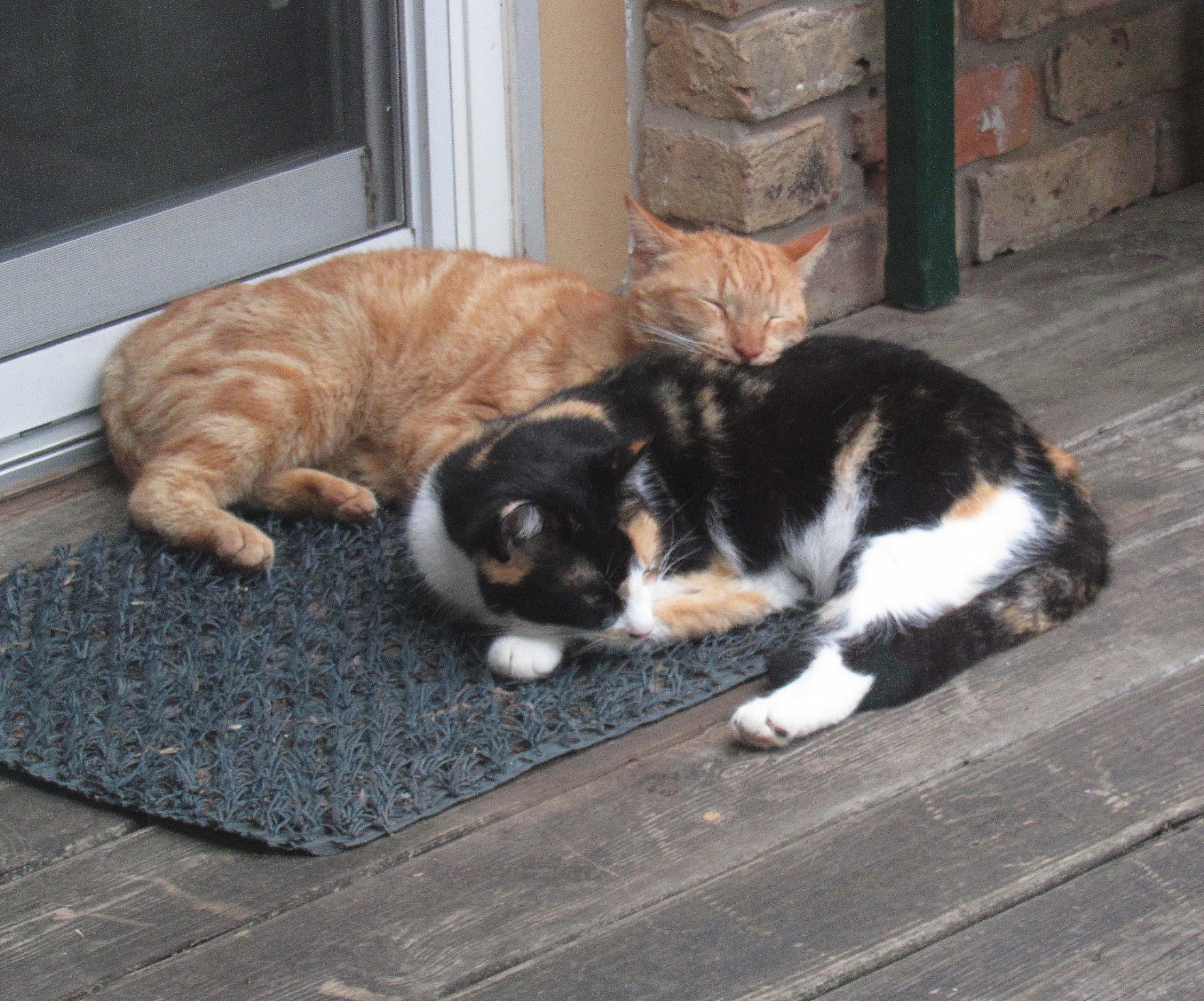 Brother & Sister.jpg