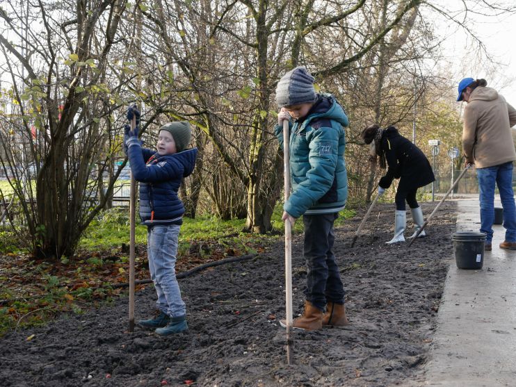 bulb planten.jpg
