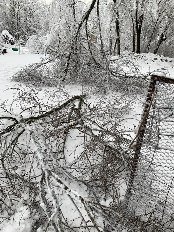 by garden gate.jpg