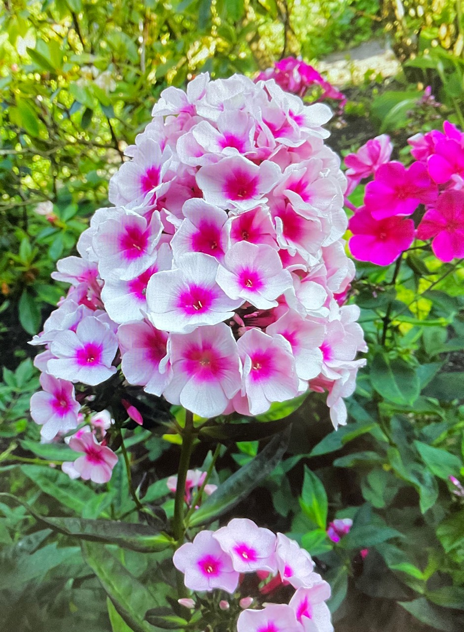 C61E2CB7-118F-4BA4-B067-93FF610158C6.jpeg