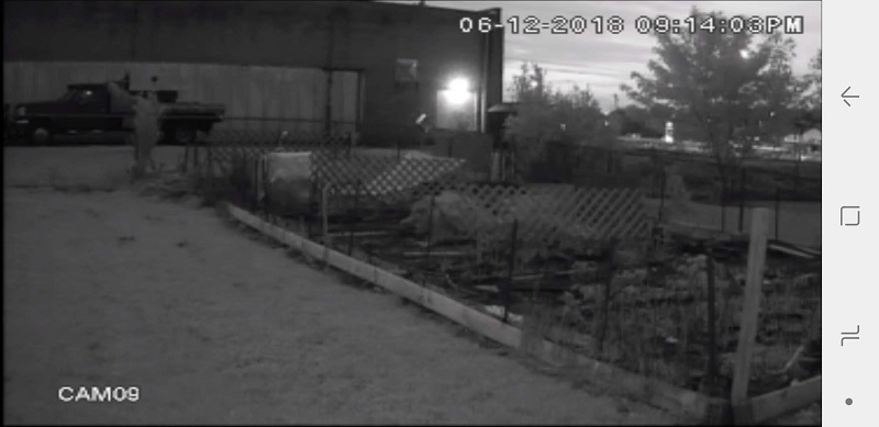 cam1.jpg
