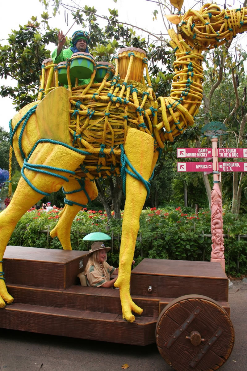 camel.jpg