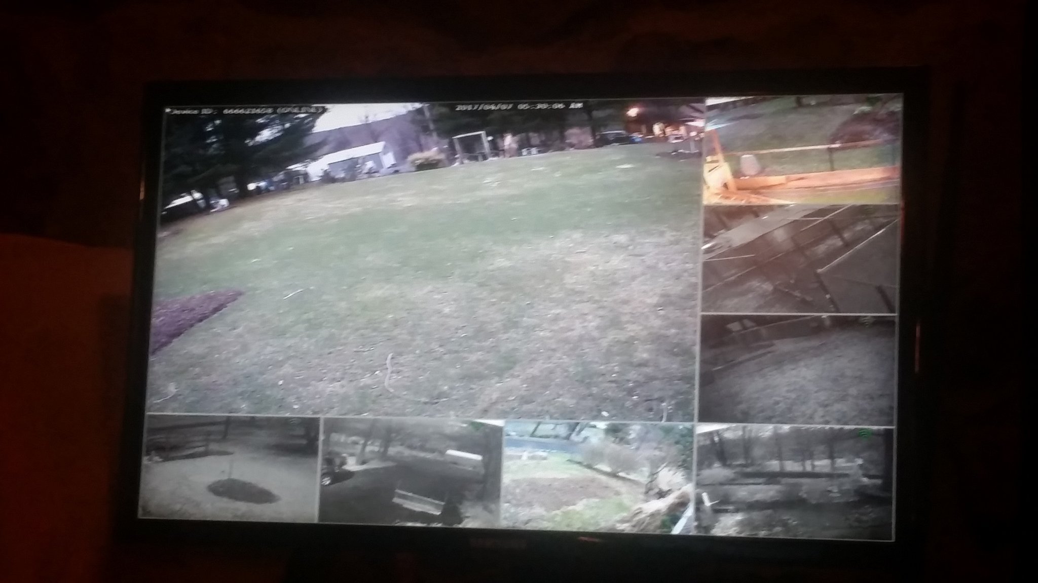 cameras.jpg