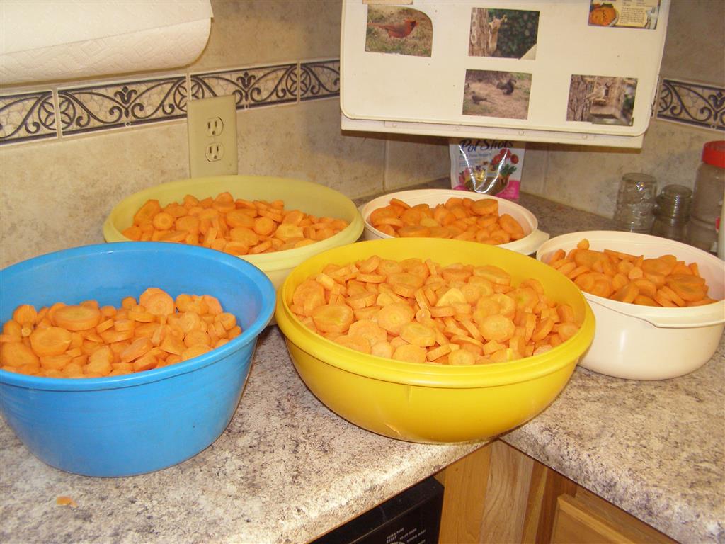 carrots + 006 (Medium).JPG