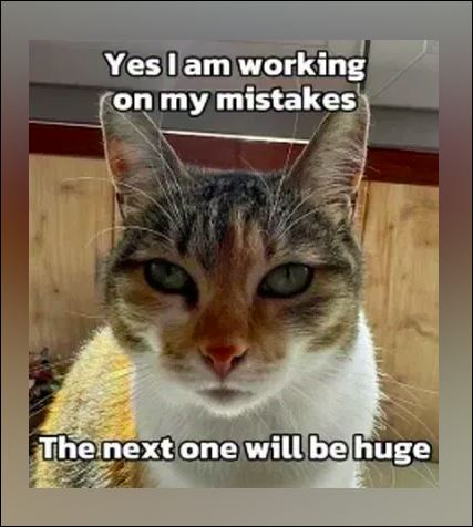 CAT.JPG