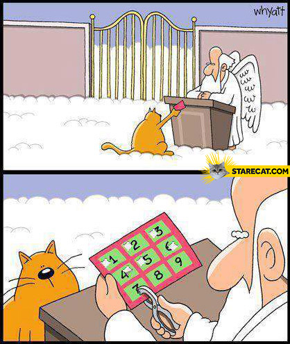 cat-nine-lives-heaven-gates.jpg