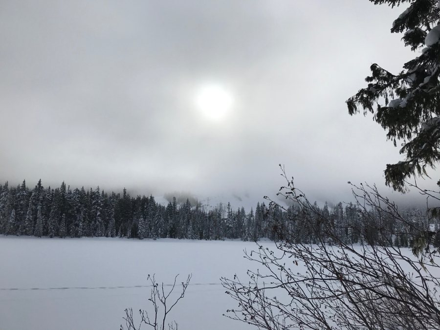 CE6D258B-C952-4A4E-8329-1BFDF48EC1FD.jpeg