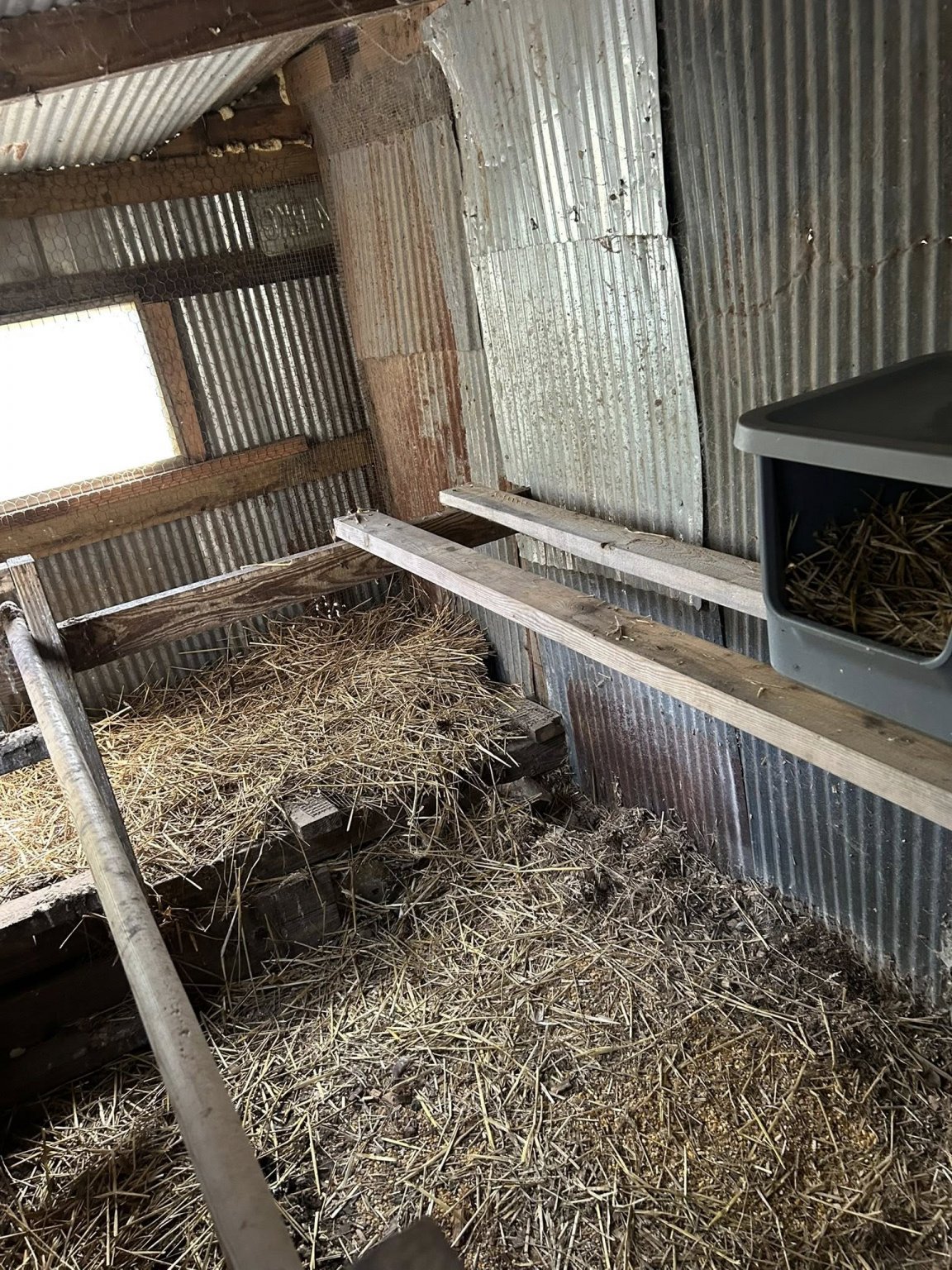chicken coop fix 2.jpg